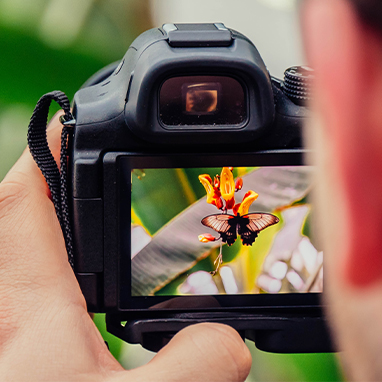 數(shù)碼相機(jī)